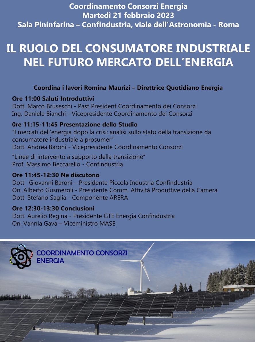 Il ruolo del consumatore industriale nel futuro mercato dell'energia
